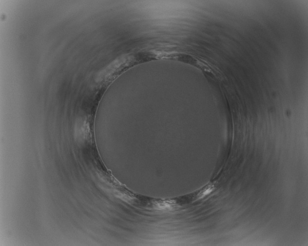 X0000056330618200508291254