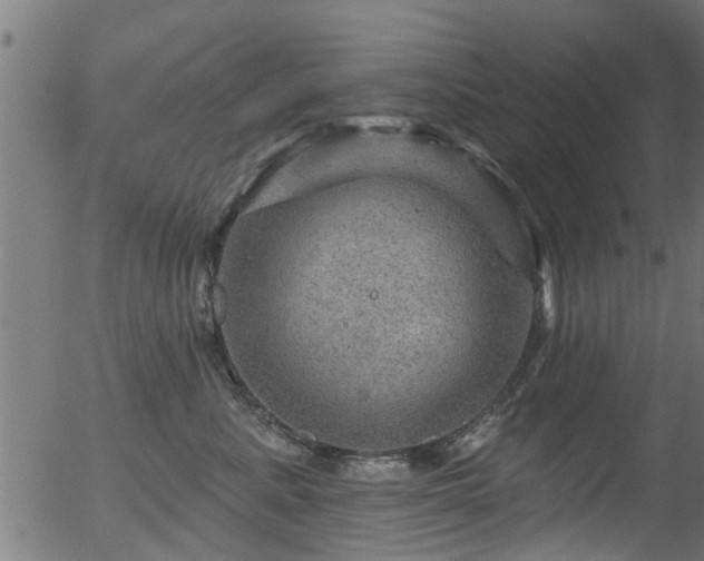 X0000056330619200508291254