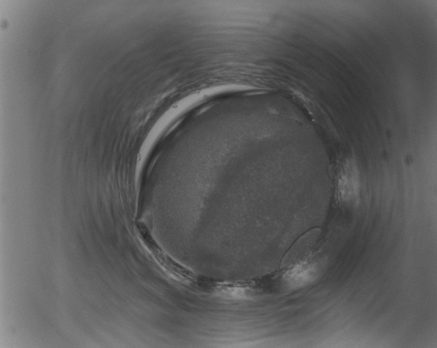 X0000056330620200508291254