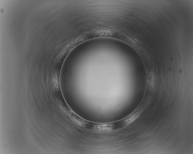 X0000056330622200508291254