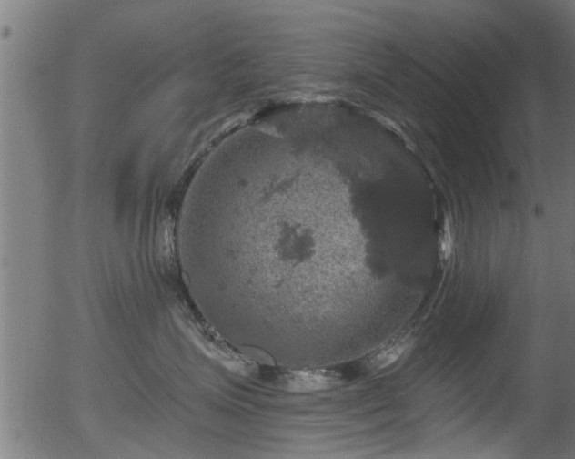 X0000056330623200508291254