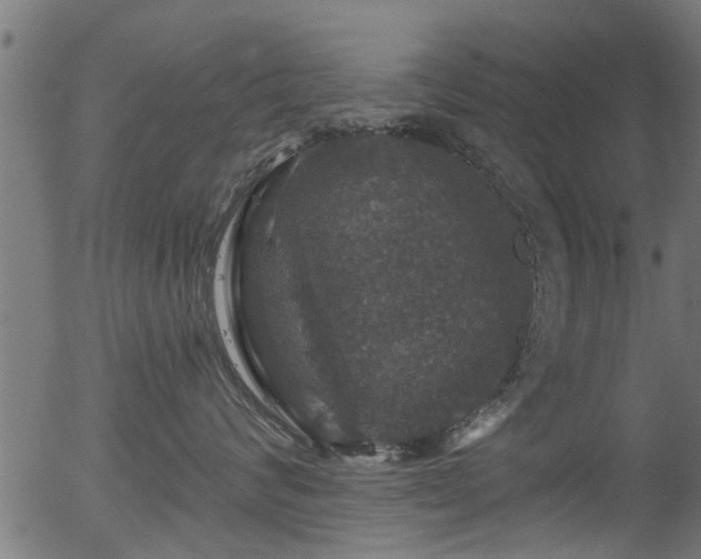 X0000056330624200508291254