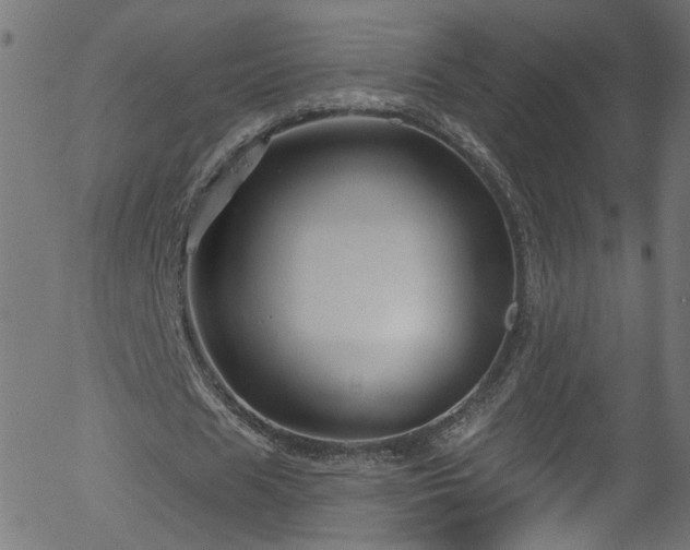 X0000056330625200508291253