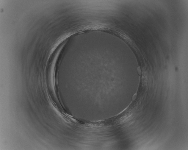 X0000056330626200508291253