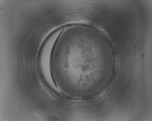 X0000056330628200508291253