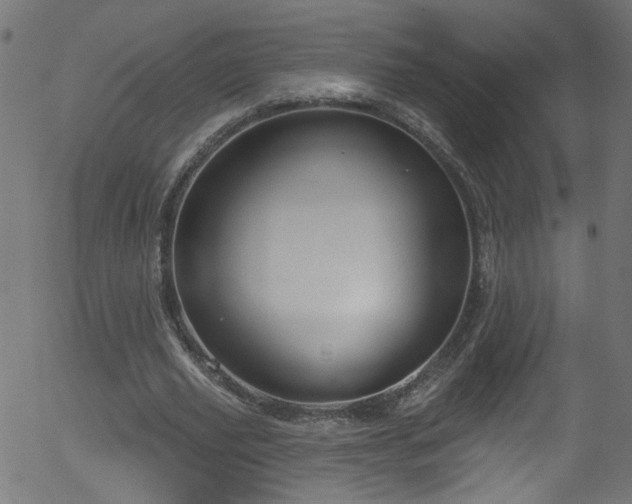 X0000056330629200508291253