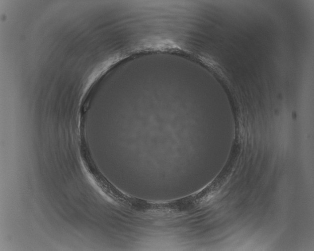 X0000056330630200508291253