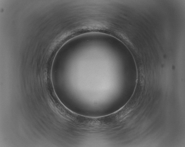 X0000056330631200508291253