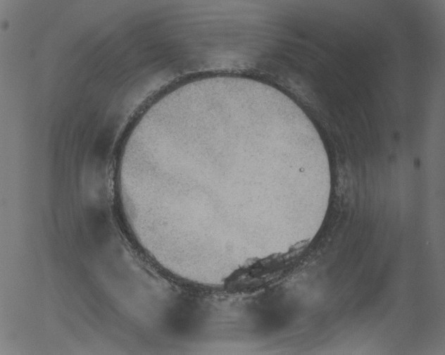 X0000056330632200508291253