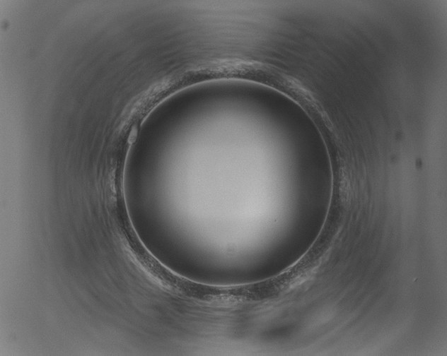 X0000056330633200508291253