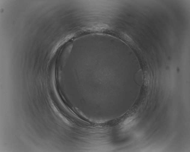 X0000056330634200508291253