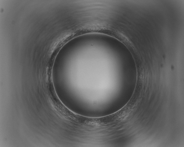 X0000056330635200508291253