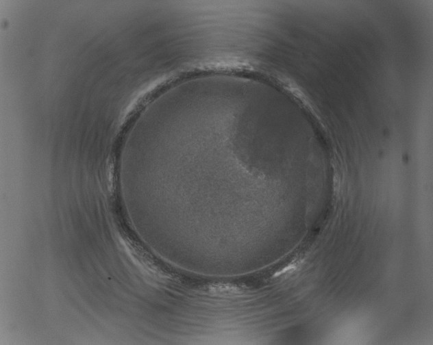 X0000056330636200508291253