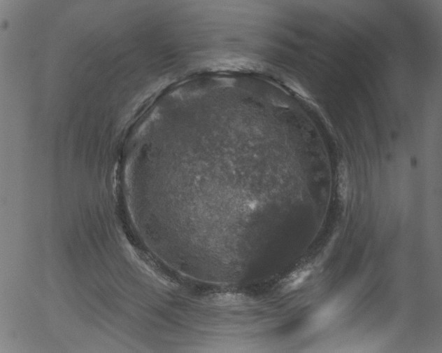 X0000056330637200508291253