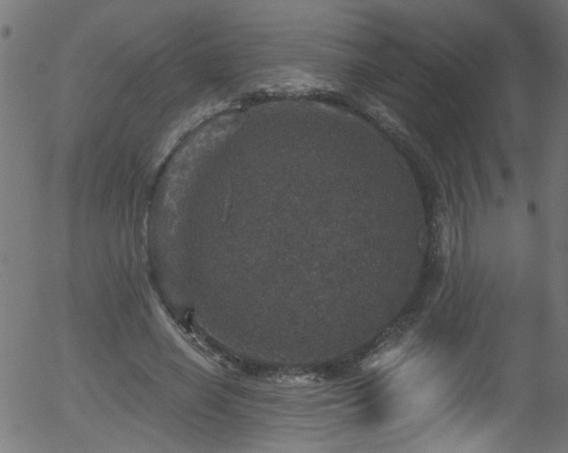 X0000056330638200508291253