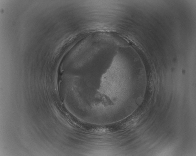 X0000056330639200508291253