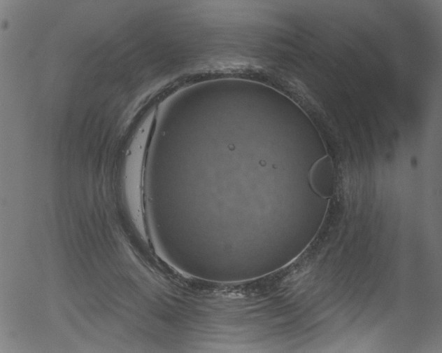 X0000056330640200508291253