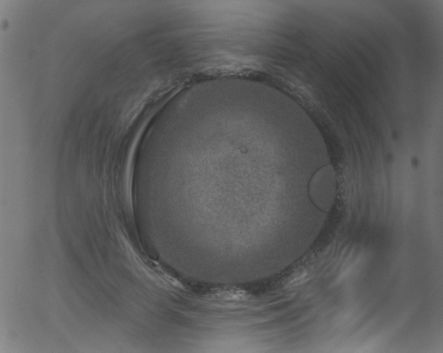 X0000056330642200508291253