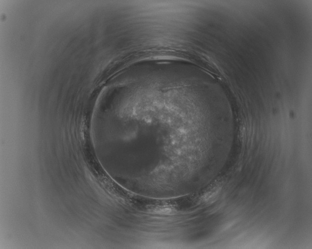 X0000056330643200508291253