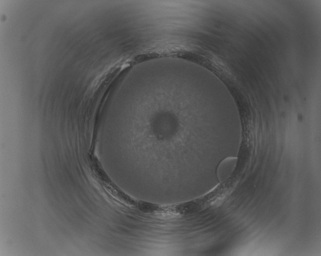 X0000056330644200508291253