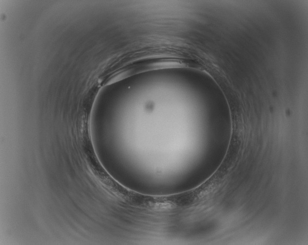 X0000056330645200508291253