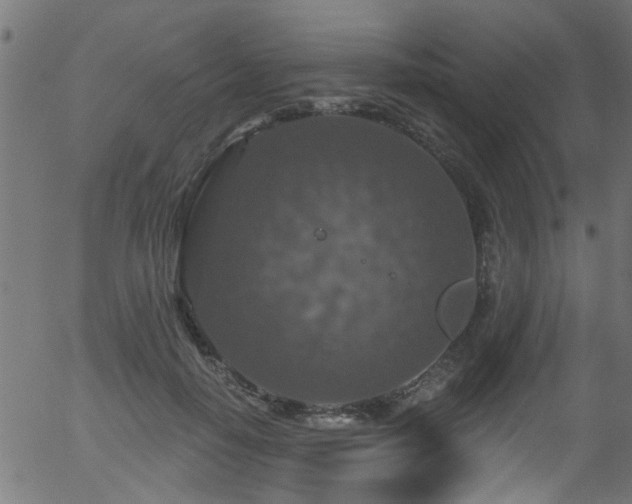 X0000056330650200508291253