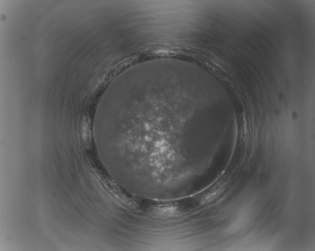 X0000056330651200508291253