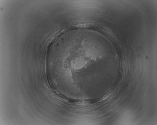 X0000056330652200508291253