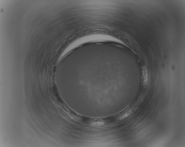 X0000056330653200508291253