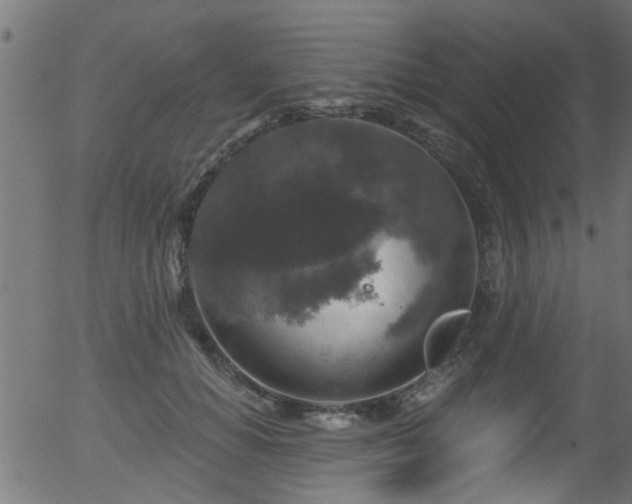 X0000056330654200508291253