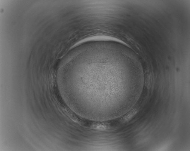 X0000056330655200508291253