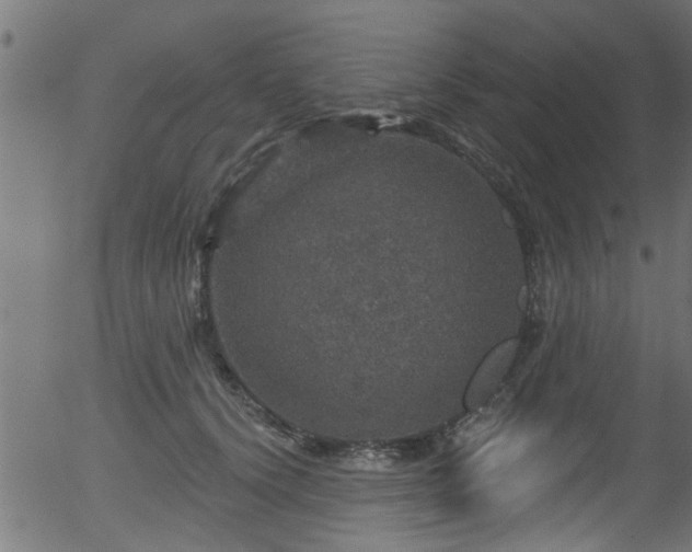 X0000056330656200508291253