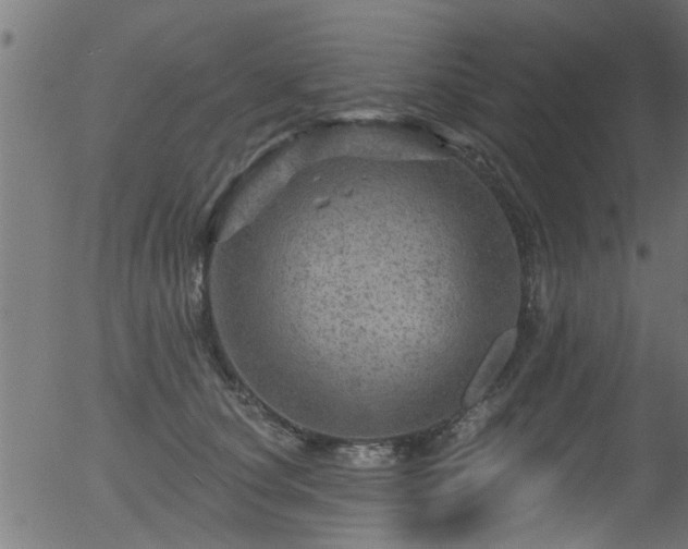 X0000056330660200508291253