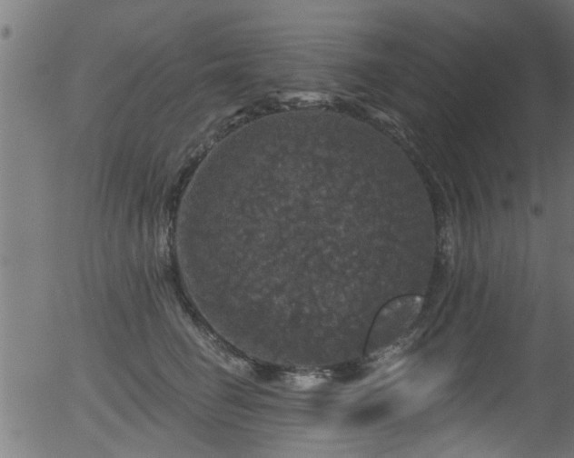 X0000056330662200508291253