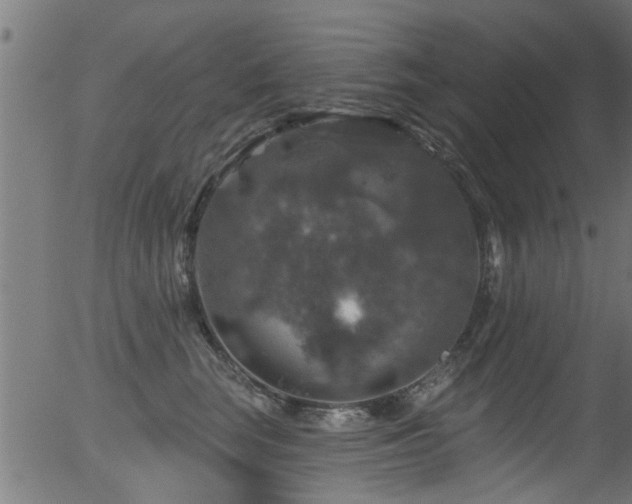 X0000056330663200508291253