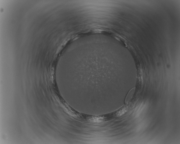 X0000056330664200508291253