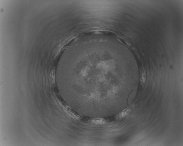 X0000056330666200508291253