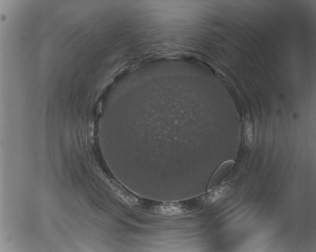 X0000056330668200508291253