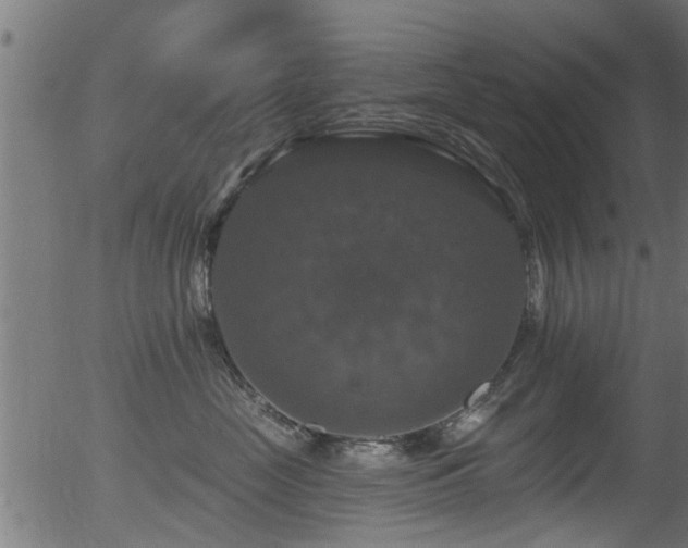 X0000056330669200508291253