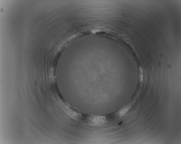 X0000056330670200508291253