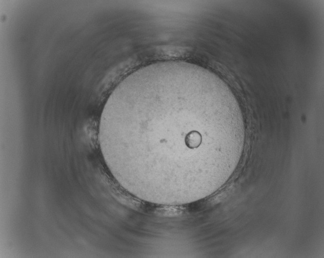 X0000056330672200508291253