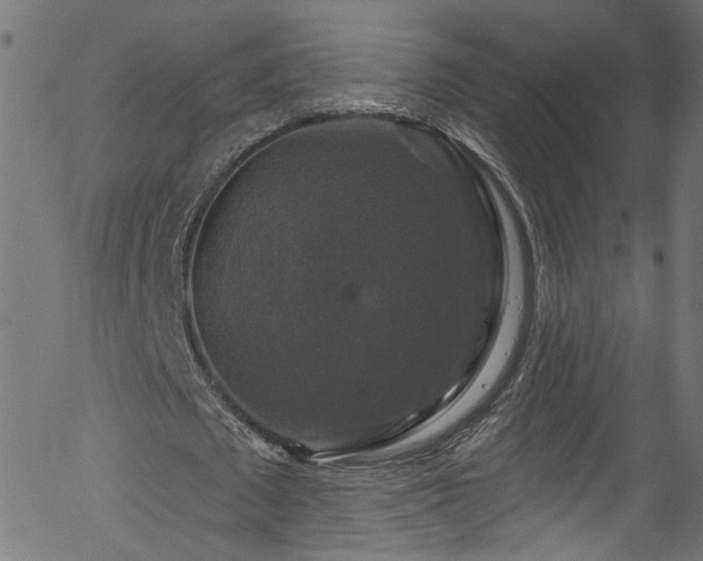 X0000056330673200508291253