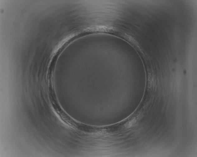 X0000056330674200508291253