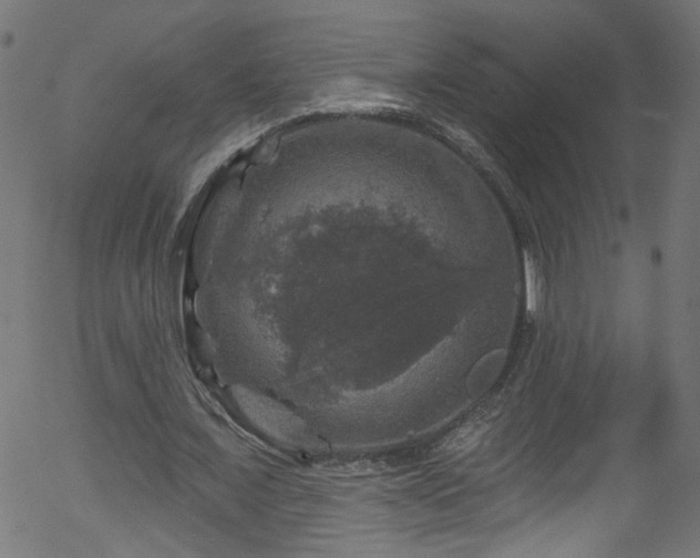 X0000056330675200508291253