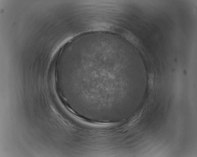 X0000056330676200508291253