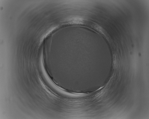 X0000056330677200508291253