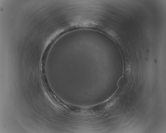 X0000056330678200508291253