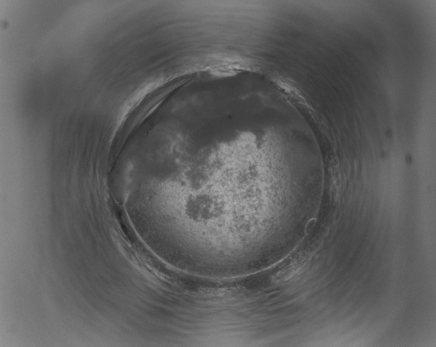 X0000056330679200508291253