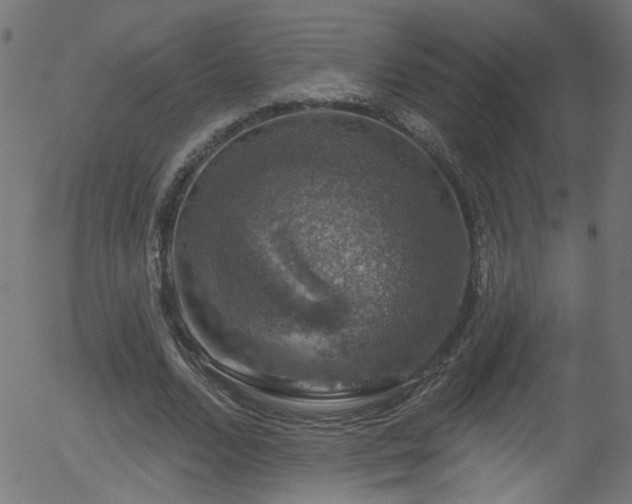 X0000056330680200508291253