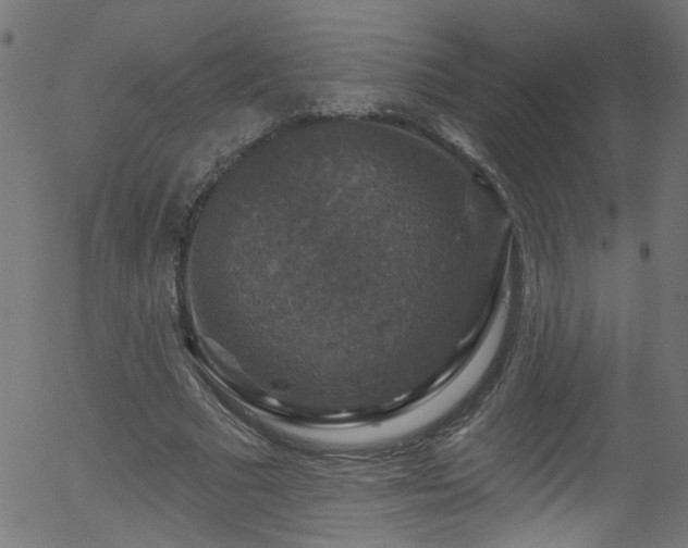 X0000056330681200508291253